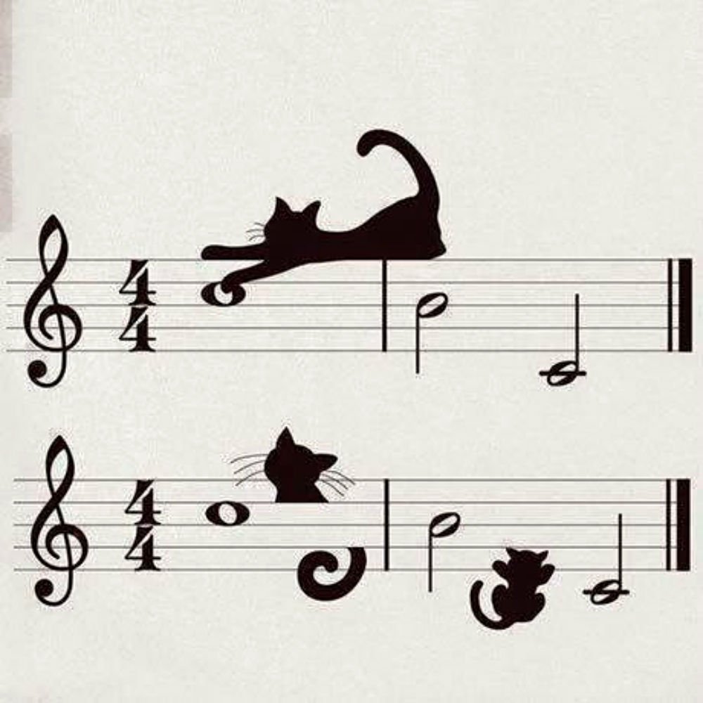 Музыкальных кошечек. Музыкальная кошка. Коты и Ноты. Кошки на нотном стане. Кошка Ноты.