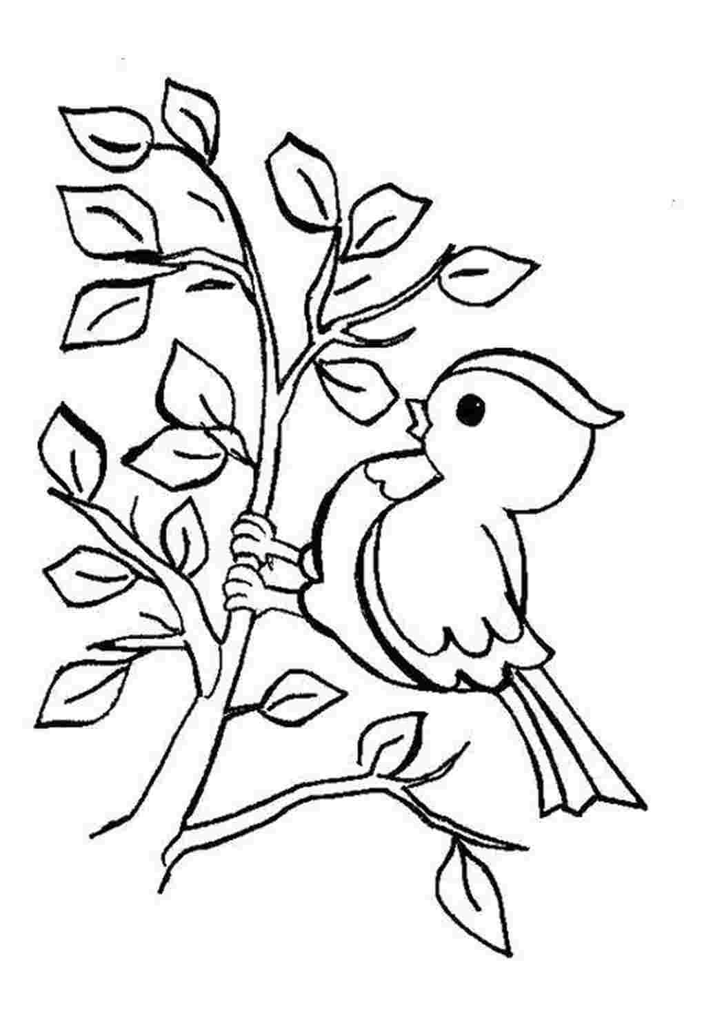 Распечатать раскраски про весну. Весенние раскраски для детей. Птицы. Раскраска. Весенние птицы раскраска для детей.
