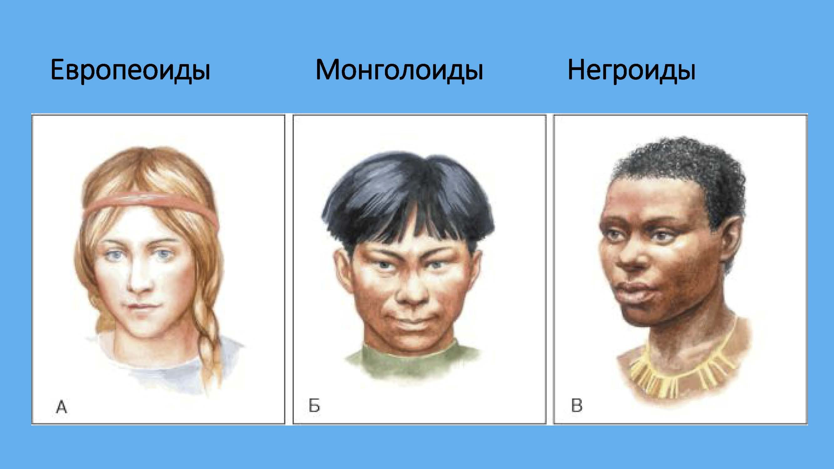 Расы человека негроидная европеоидная. Расы Европеоид монголоид. Европеоидная монголоидная негроидная раса. Монголоидная раса и негроидная раса. Европеоид монголоид негроид.