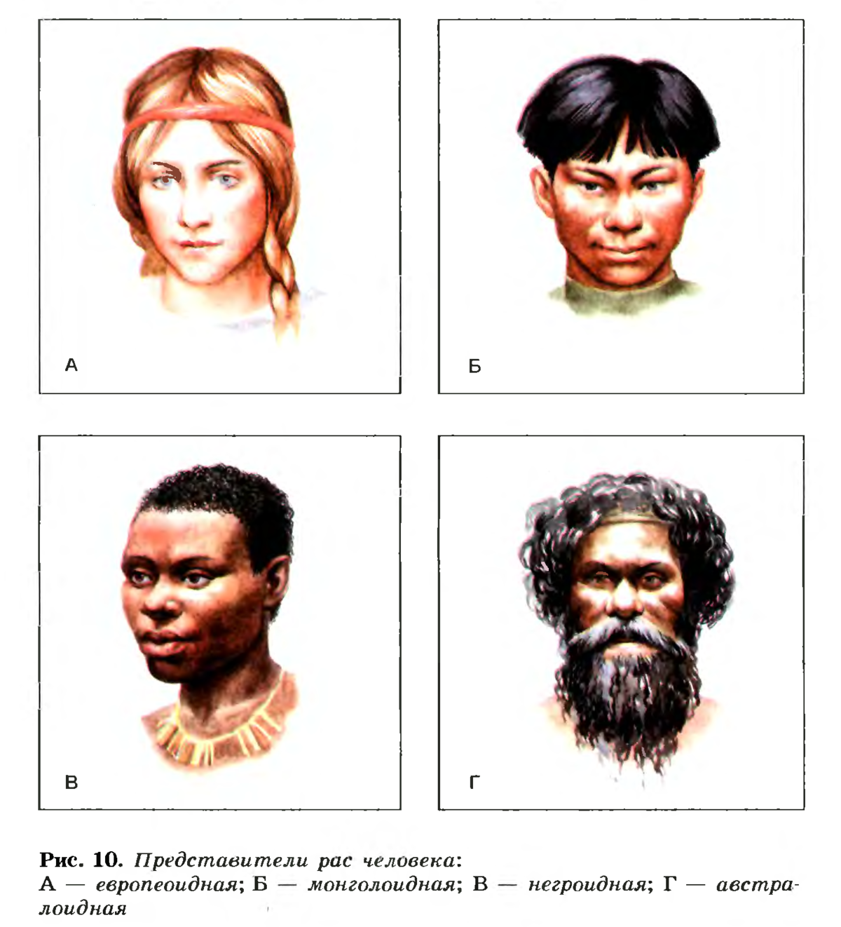 3 группы расы