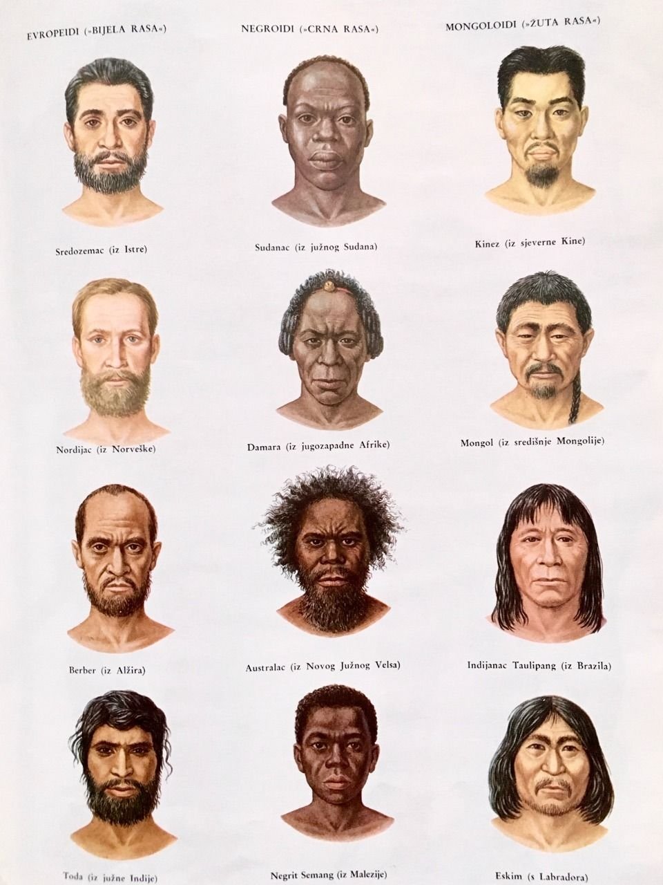 Human types. Расы людей. Расы внешность. Расы человечества. Человеческие расы.