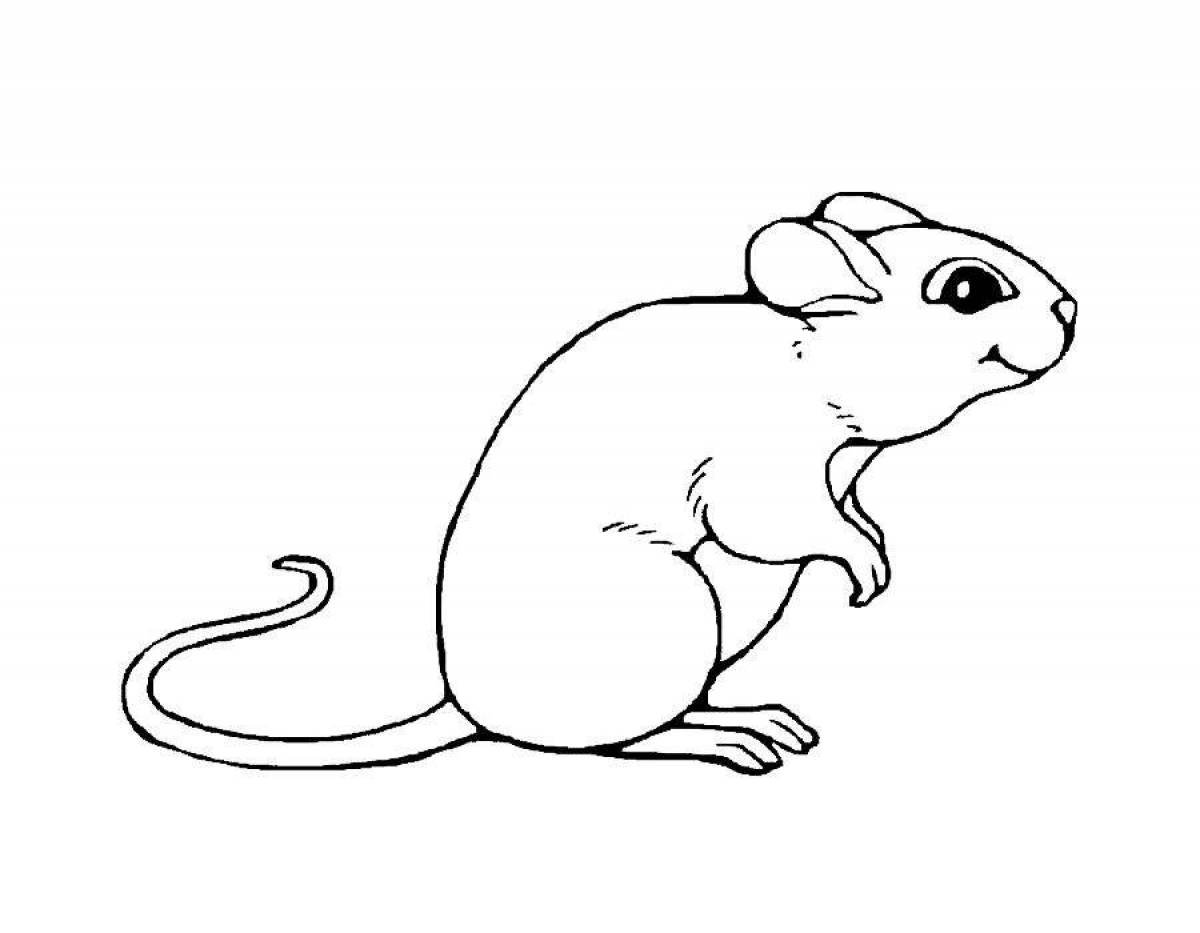 Раскраска мышь распечатать. Раскраска мышка. Раскраска Миша. Мышь раскраска для детей. Раскраска мышонок.