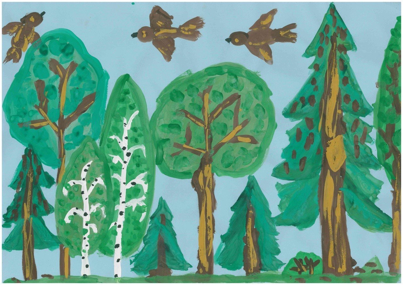 Широколиственные леса в рисунках карандашом и красками