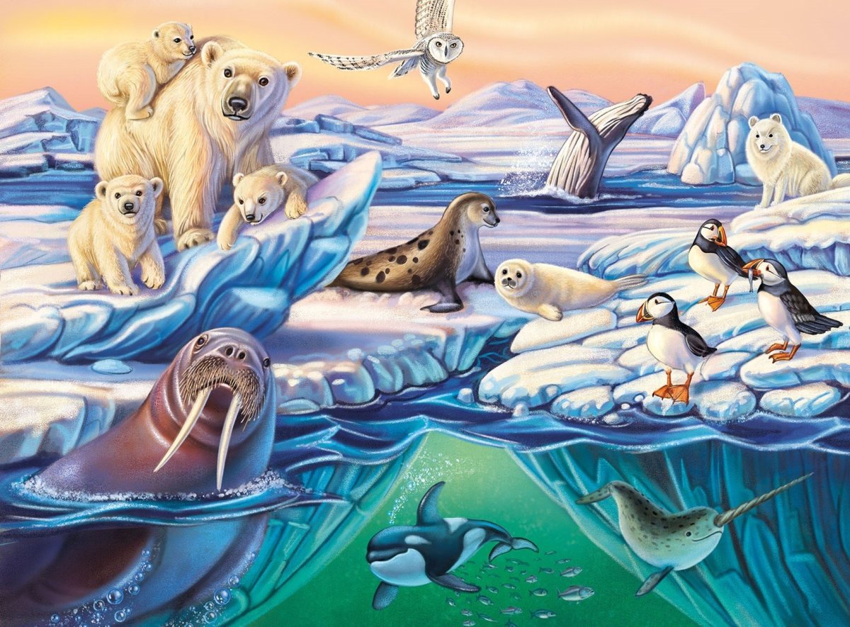 Животные антарктиды рисунки