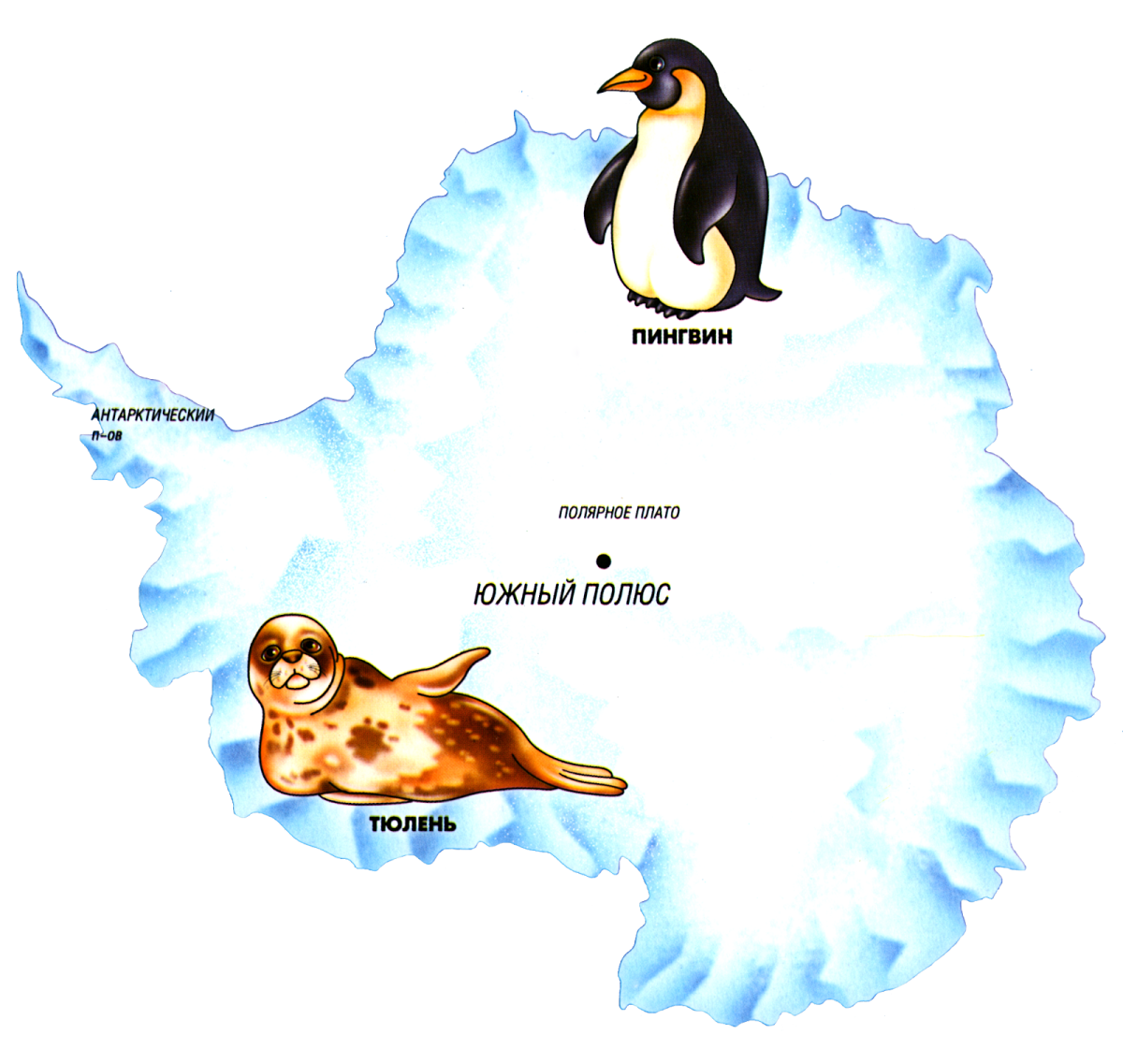Антарктида северный материк. Континент Антарктида для детей. Антарктида материк для детей. Антарктида для дошкольников. Антарктида на карте для детей.