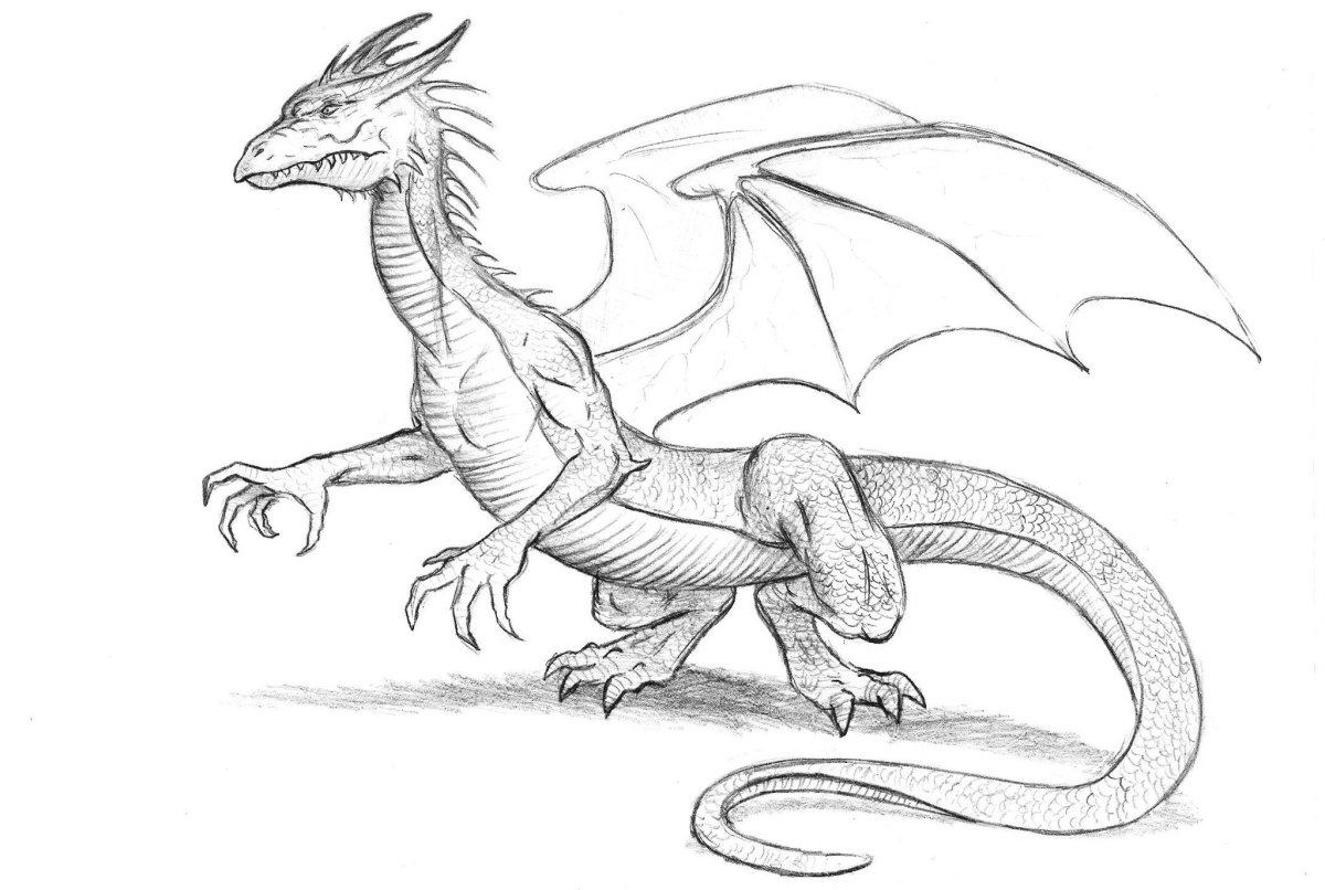 Несложный рисунок дракона