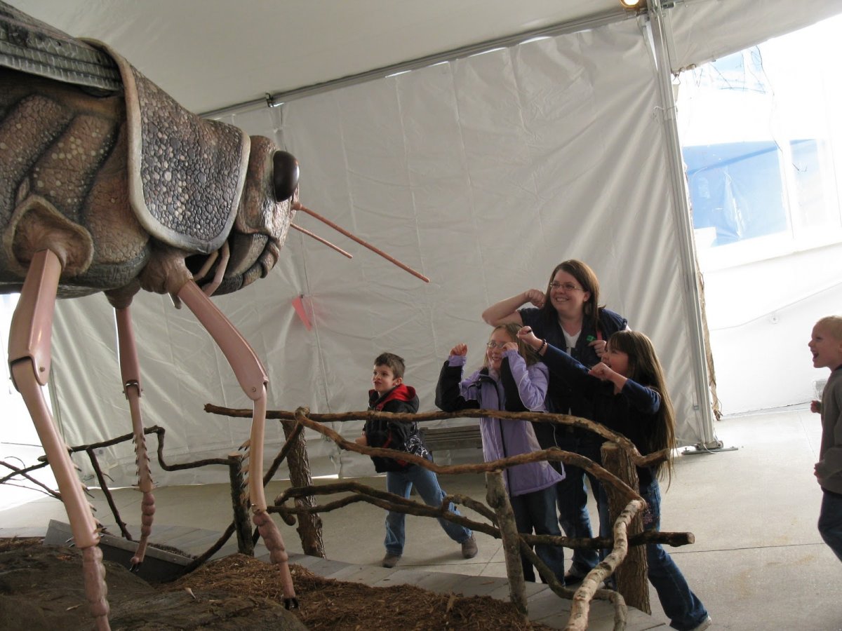 Гигантские насекомые древности