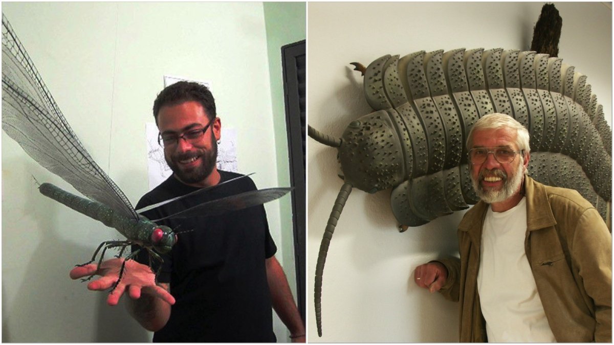 Древние насекомые гиганты