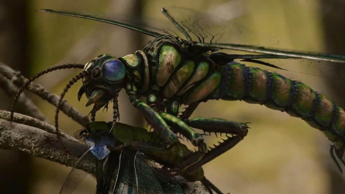 Вымершие гигантские насекомые