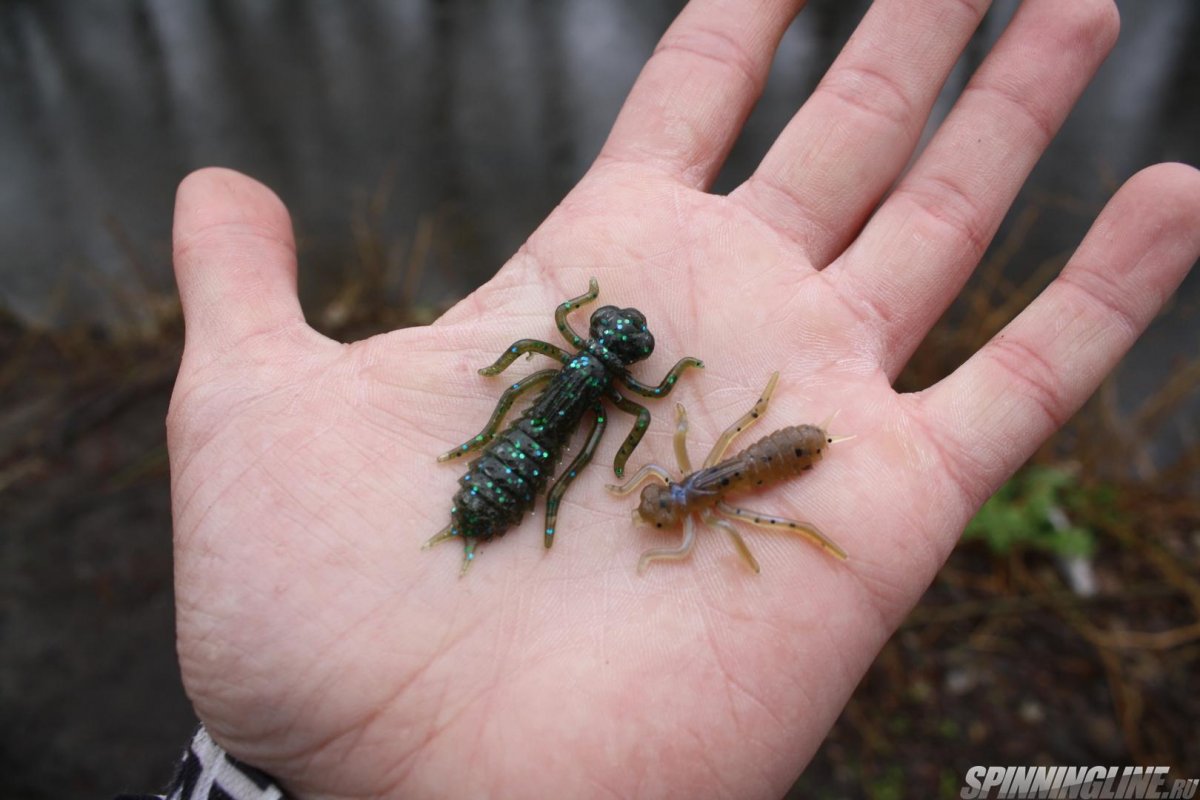 Будущие Стрекозы