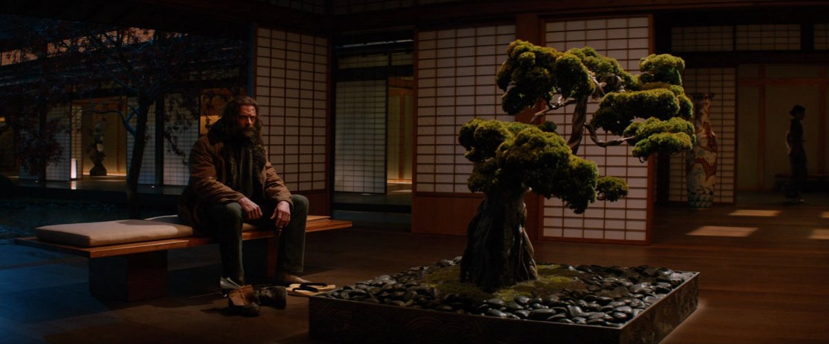 Светлана Ходченкова в Голливуде