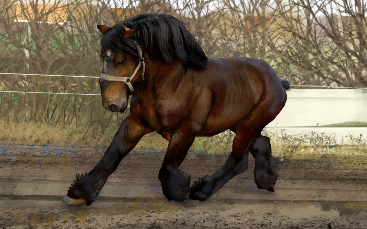 Фриз Фризская лошадь