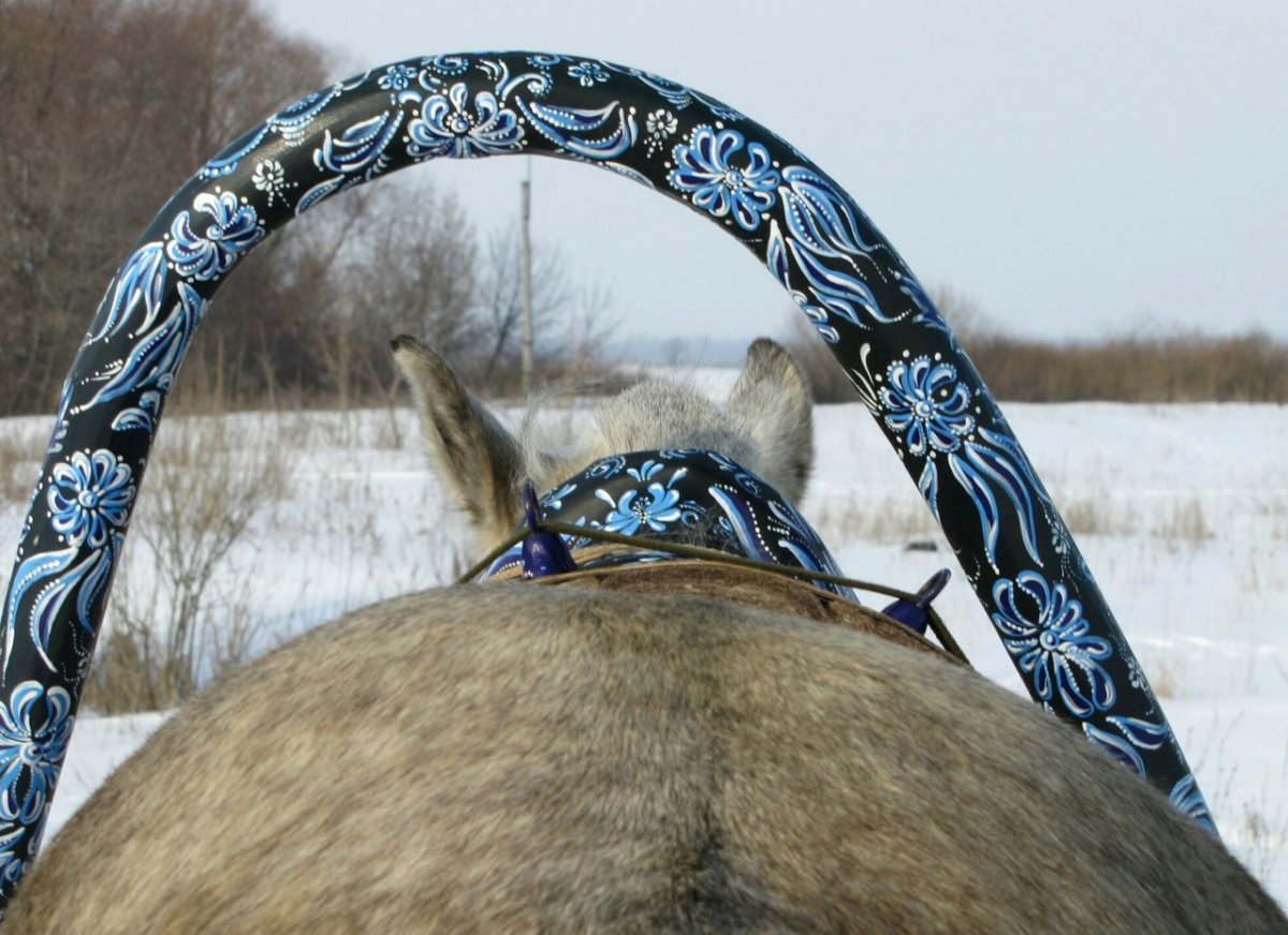 Расписные дуги для лошади