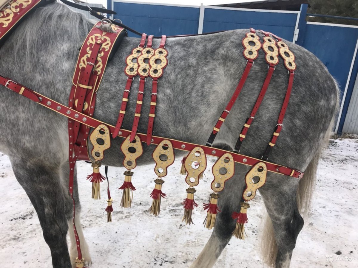 Шлея Пессоа для пони