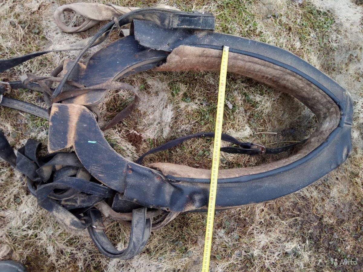 Монгольская уздечка для лошади