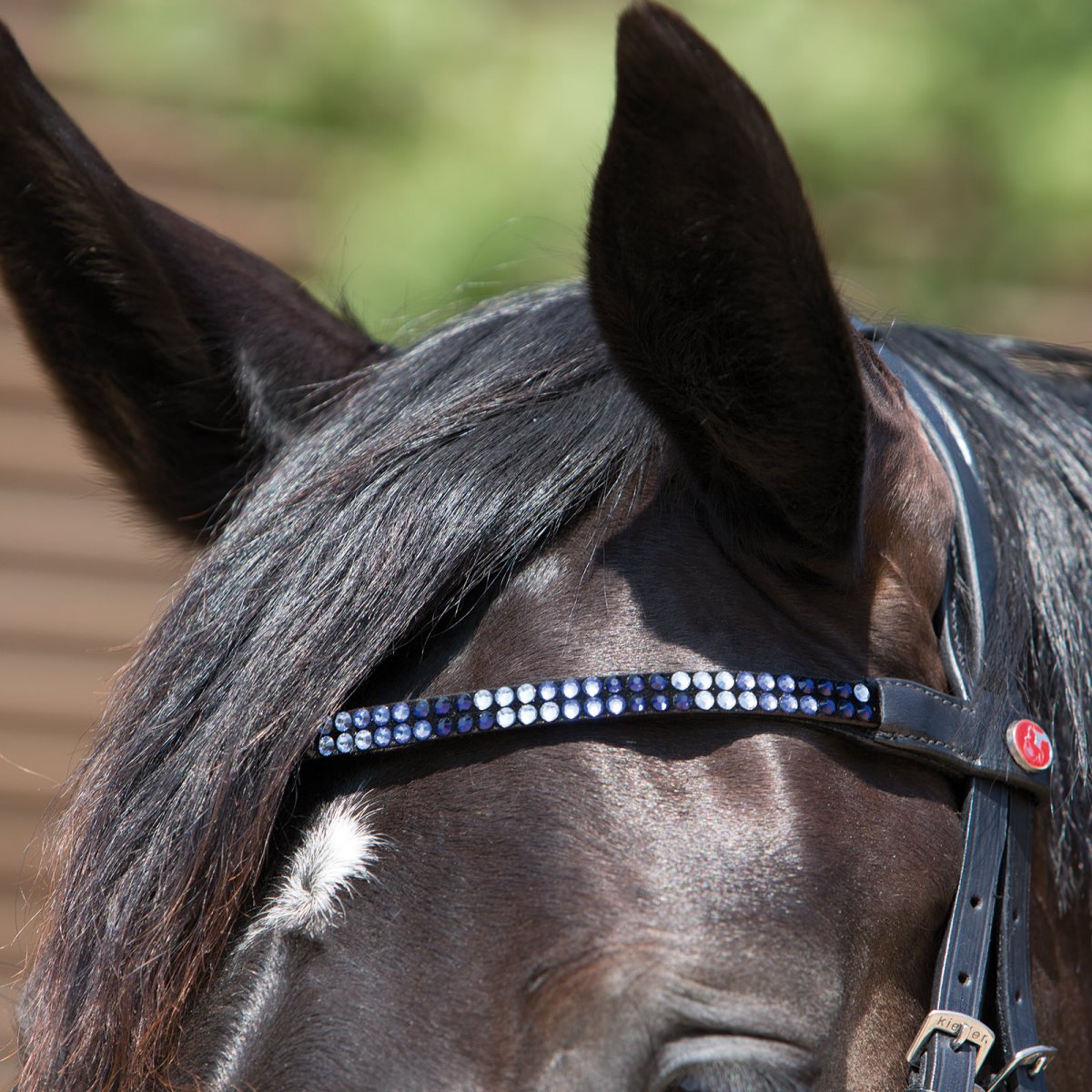 Ярмо упряжь