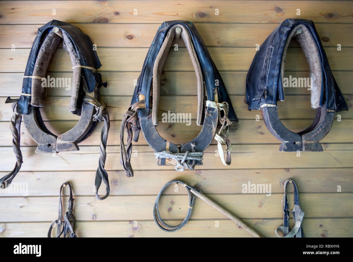 Шоры на глазах у лошади