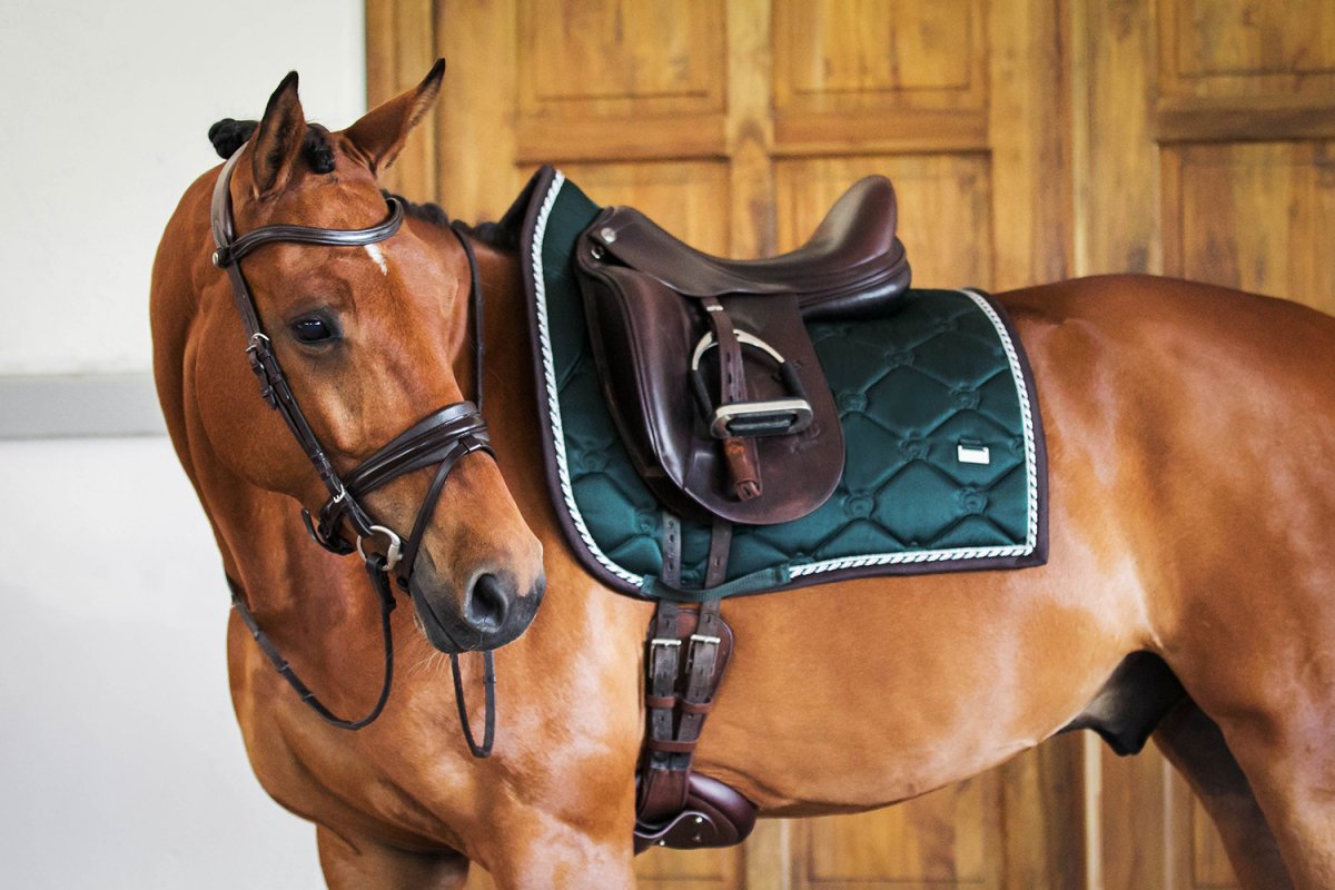 Спортивное седло для лошади на природе