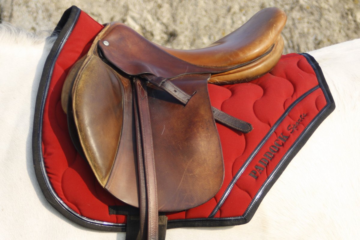 Красивое седло для лошади