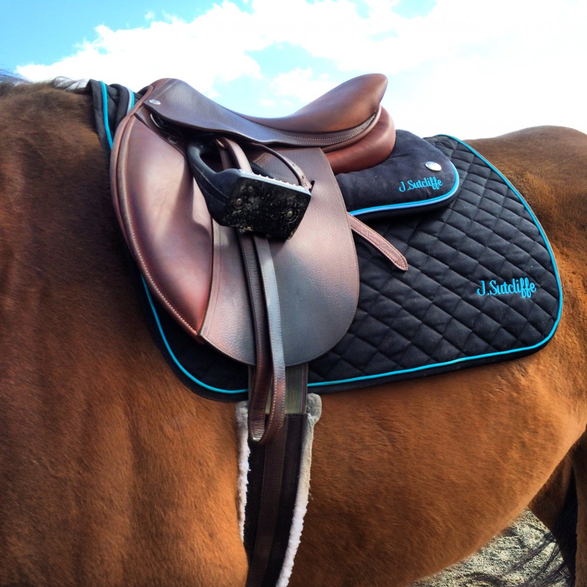 Самое дорогое седло для лошади