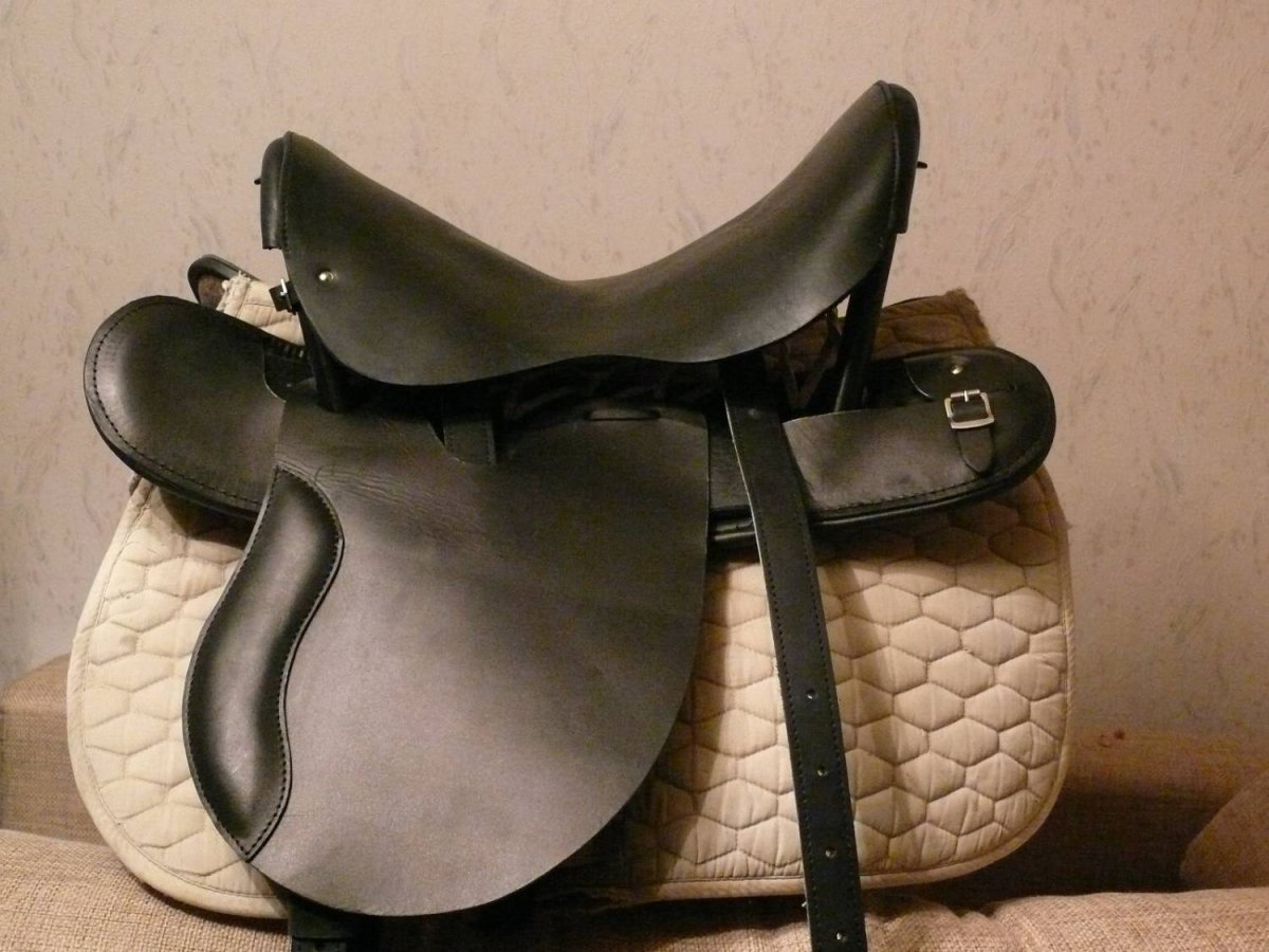 Седая лошадь