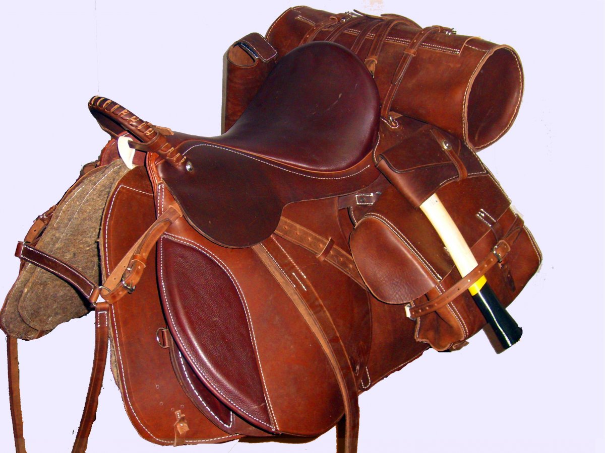 Заседланная лошадь