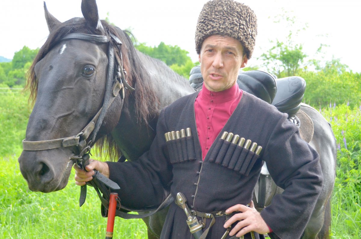 Порода лошадей в Кабардино Балкарии