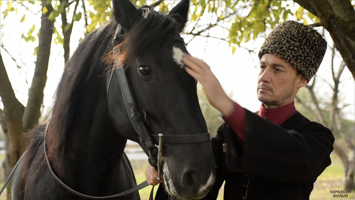 Шагди лошадь