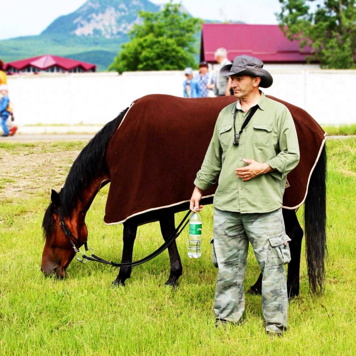 Англо Кабардинская порода