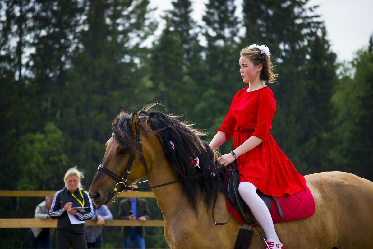 Лошади породы Нокота