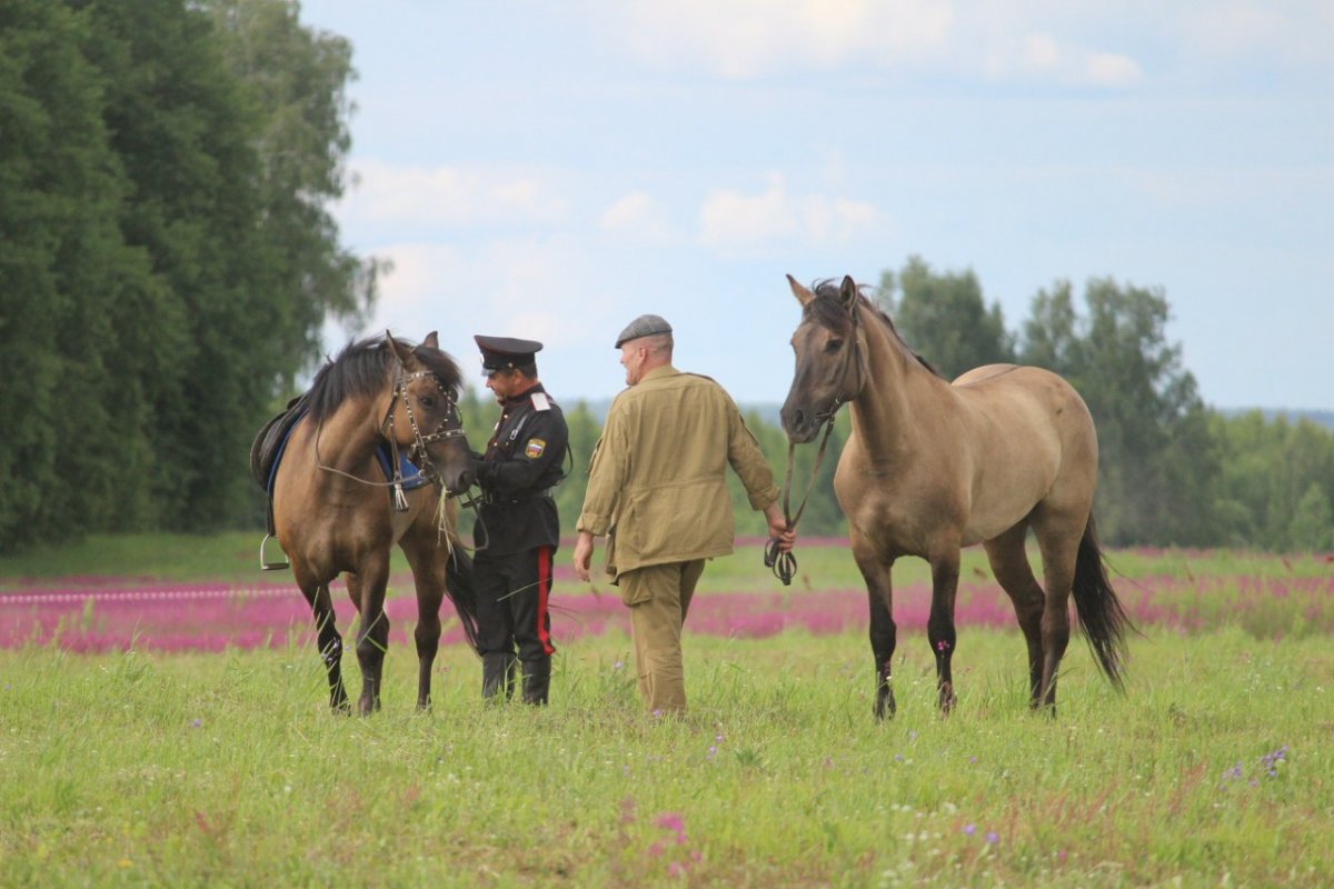 Вятская лошадь