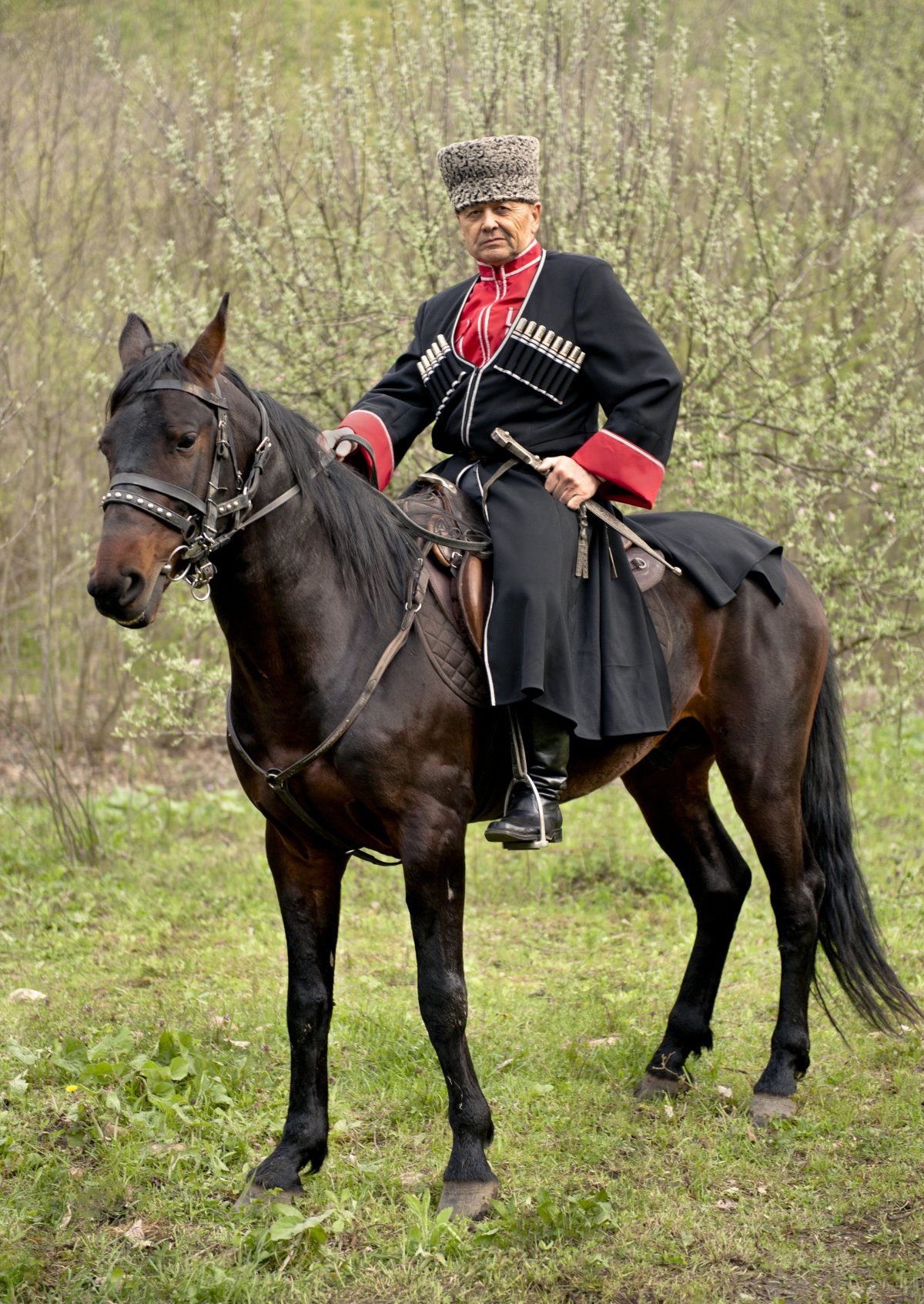 Донской казак на коне с шашкой