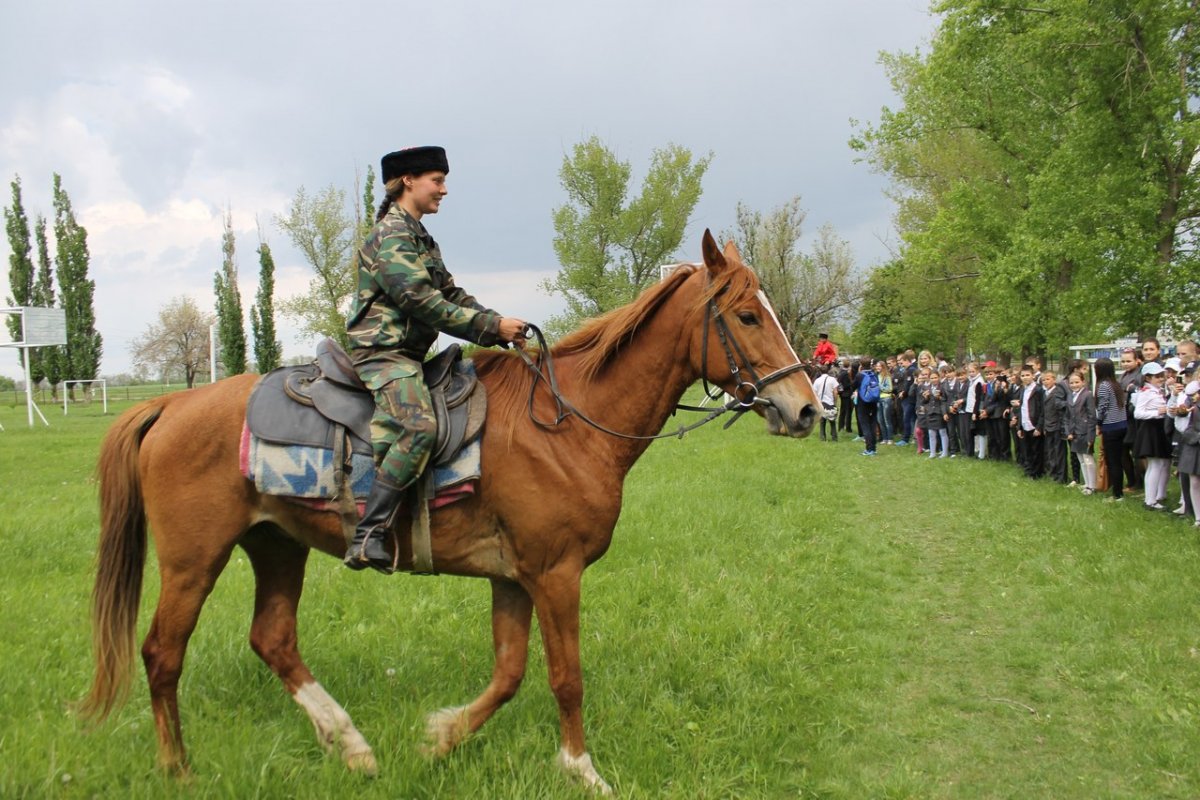 Конный переход Казаков Юга России 2015