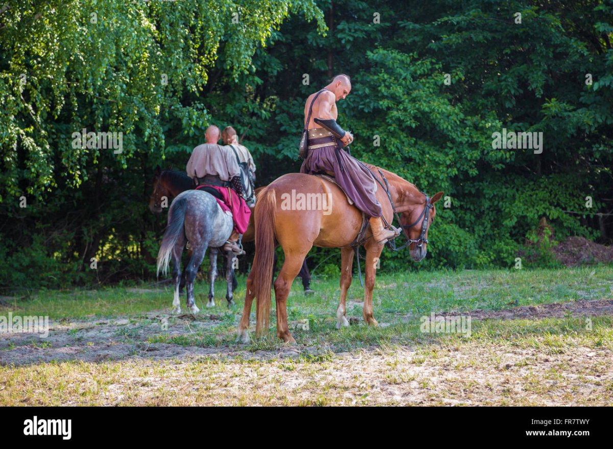 Картинка казаки верхом на конях