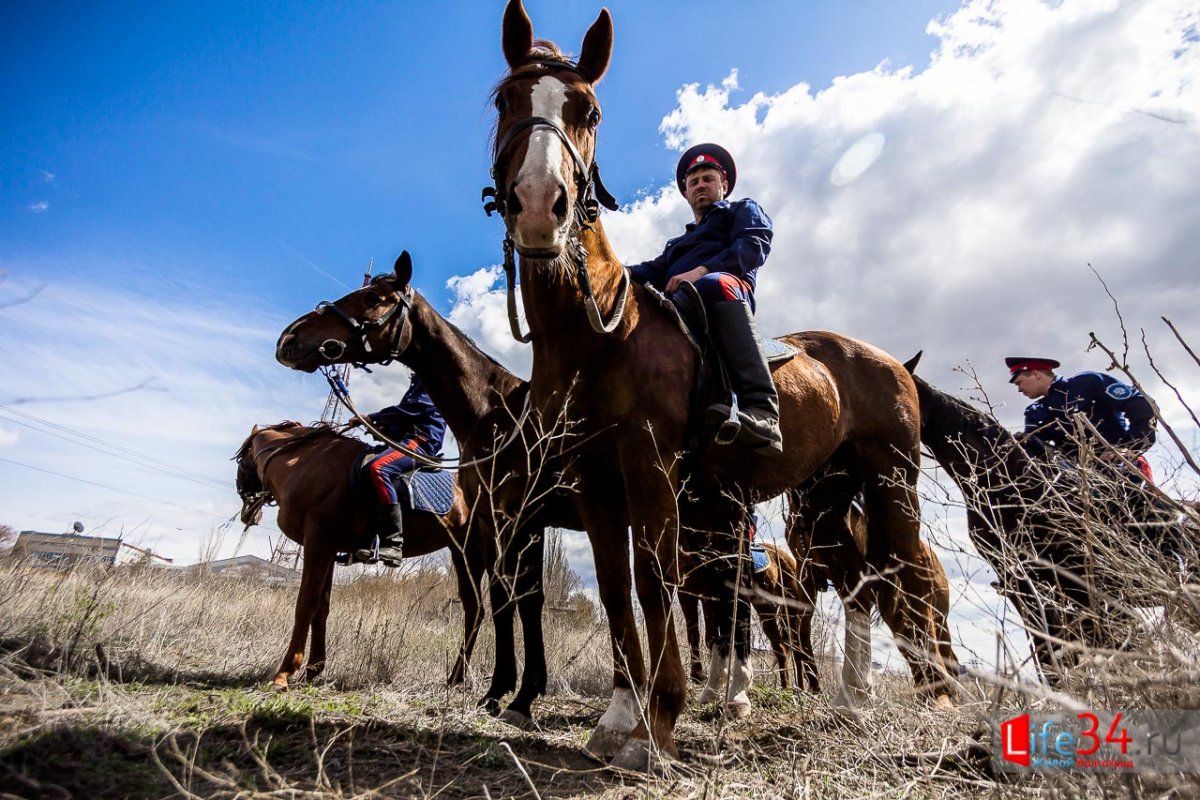 Запорожский казак Украина