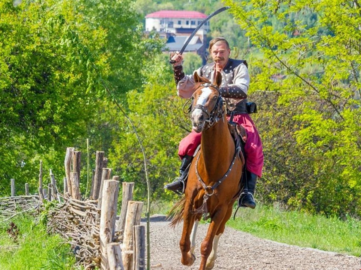 Казаки на конях