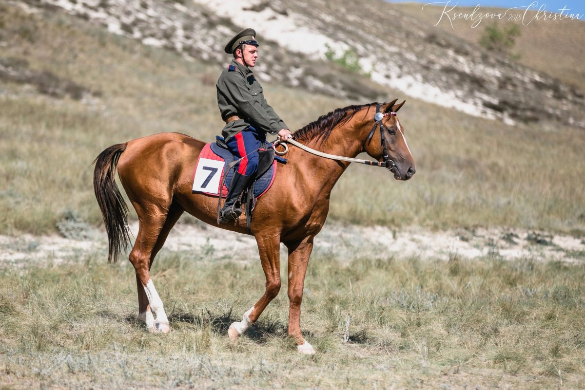 Ригорист Дончак