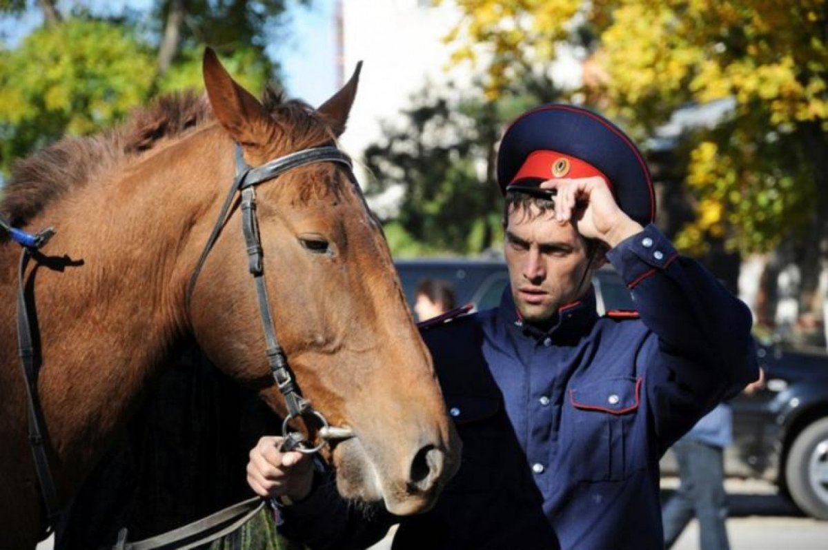 Казачья лошадь