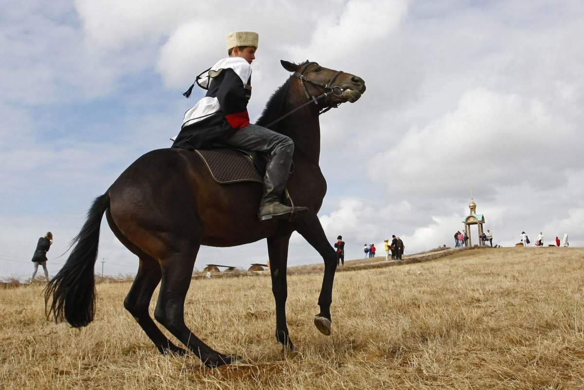 Кубанцы на конях