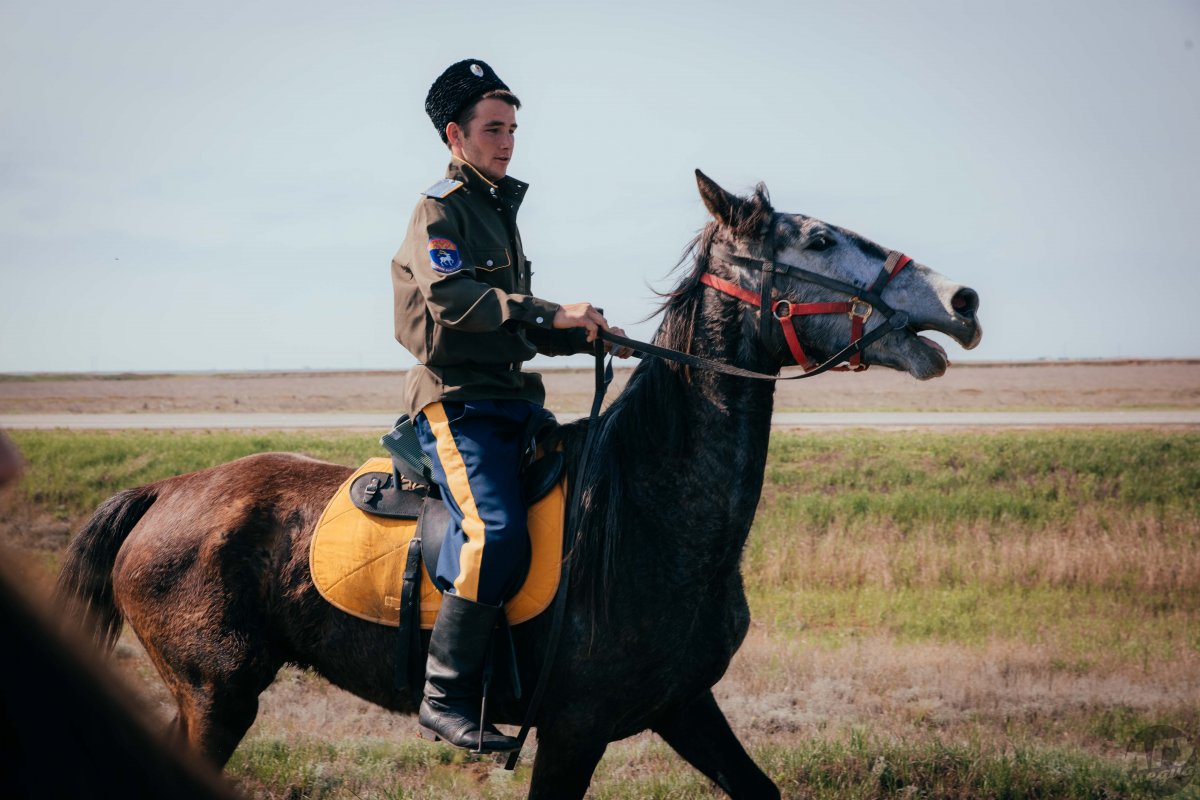 Волгоградские казаки на лошади
