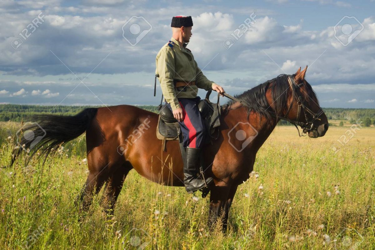 Казак с нагайкой на коне