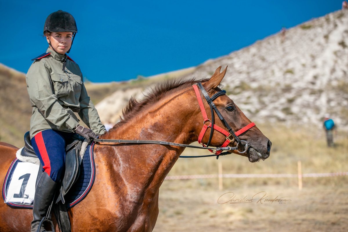 Казачья лошадь