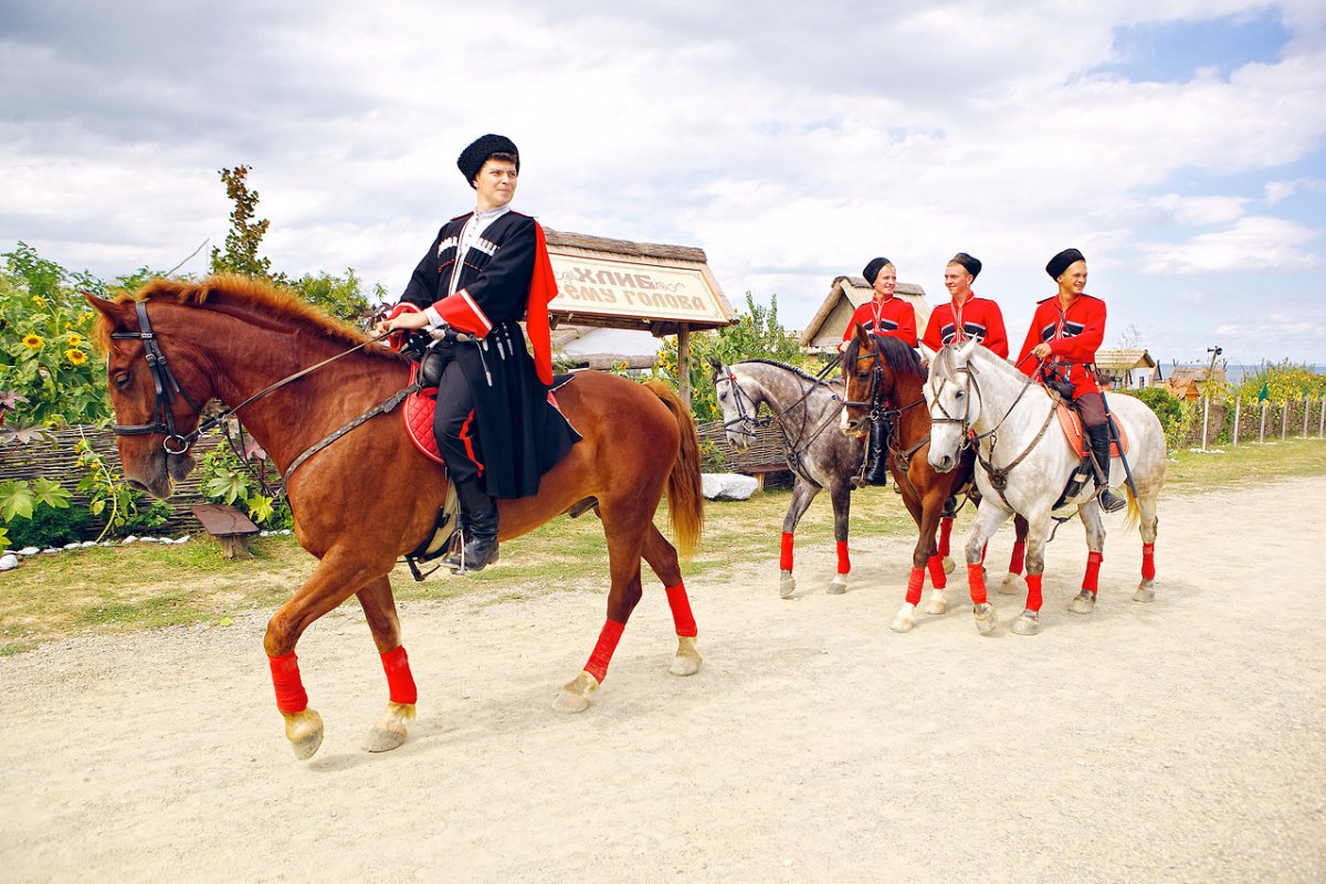 Кубанские казаки на лошадях