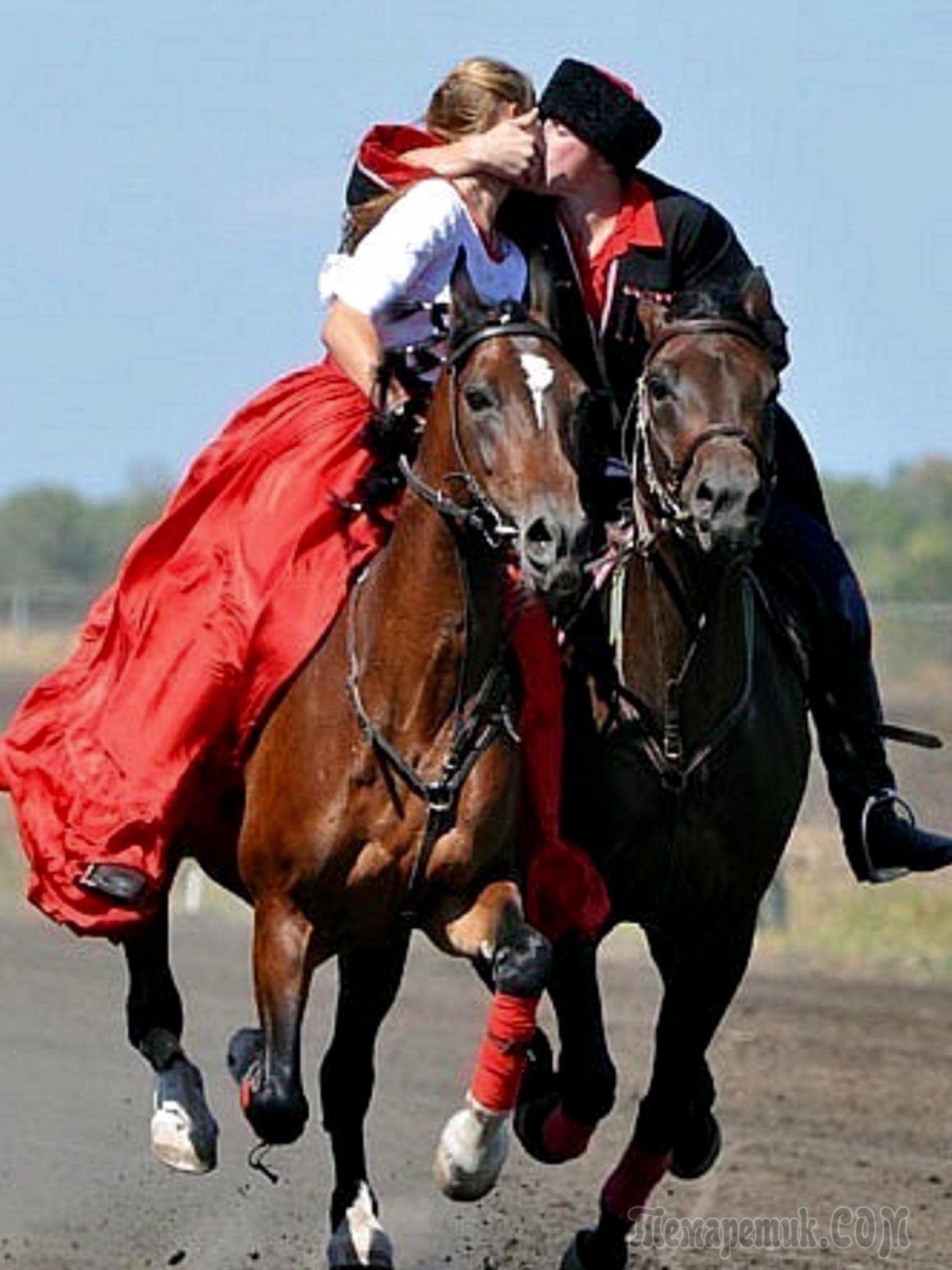 Казак казачка конь