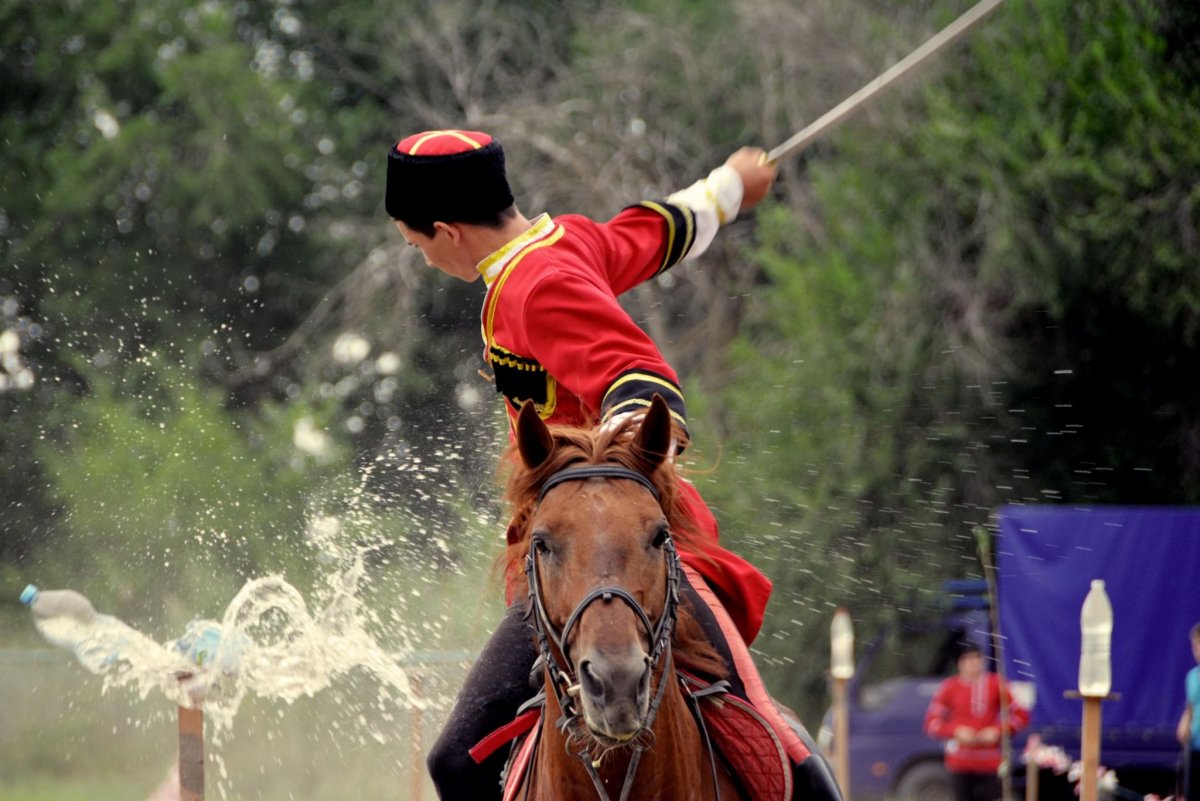 Лошадь Донская порода казака