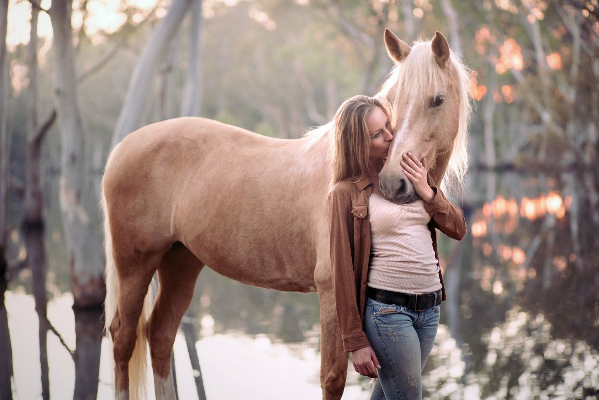 Беременная лошадь фото