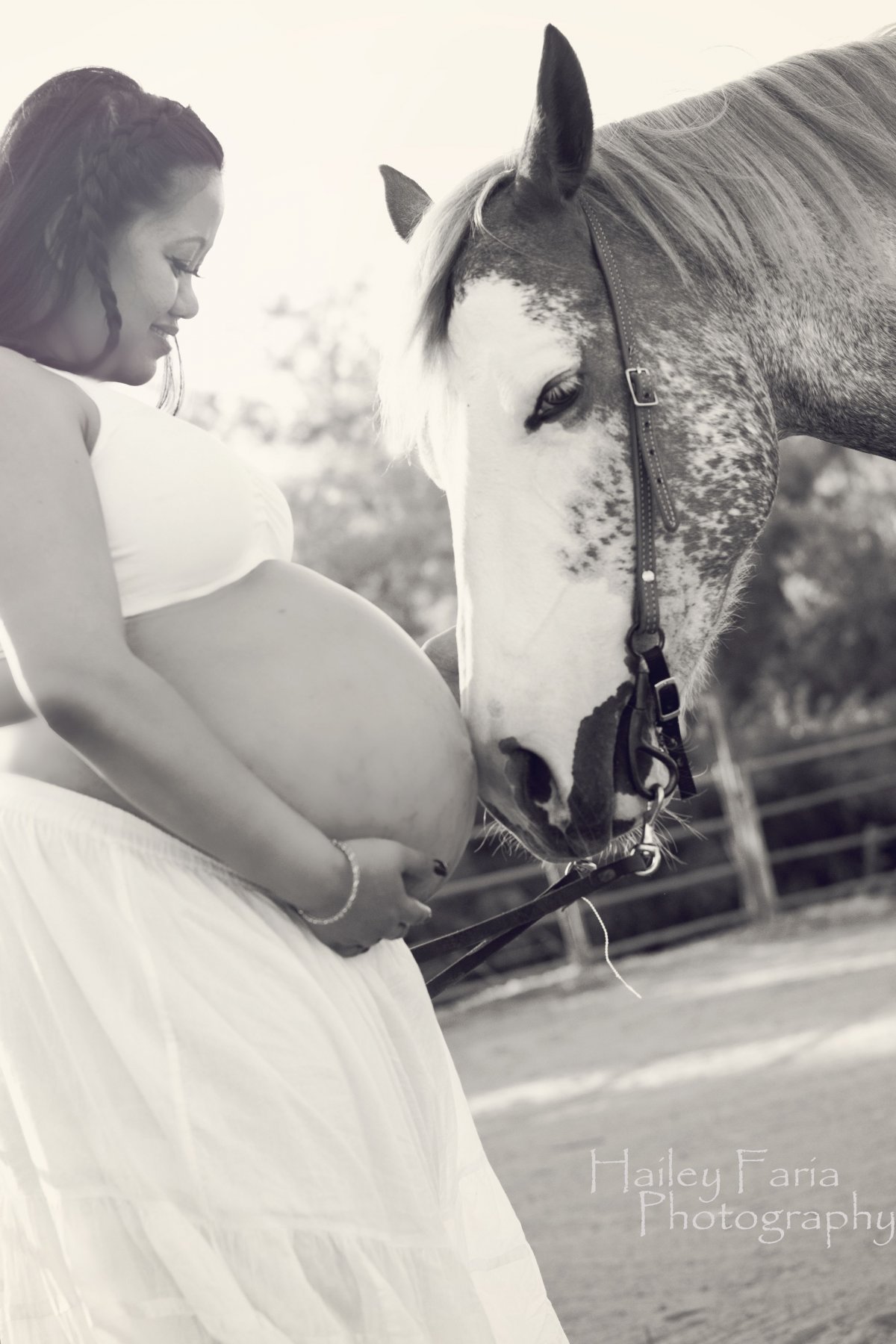 Беременная лошадь