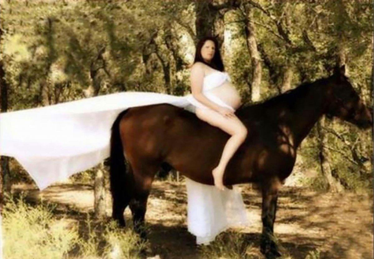 Беременная лошадь