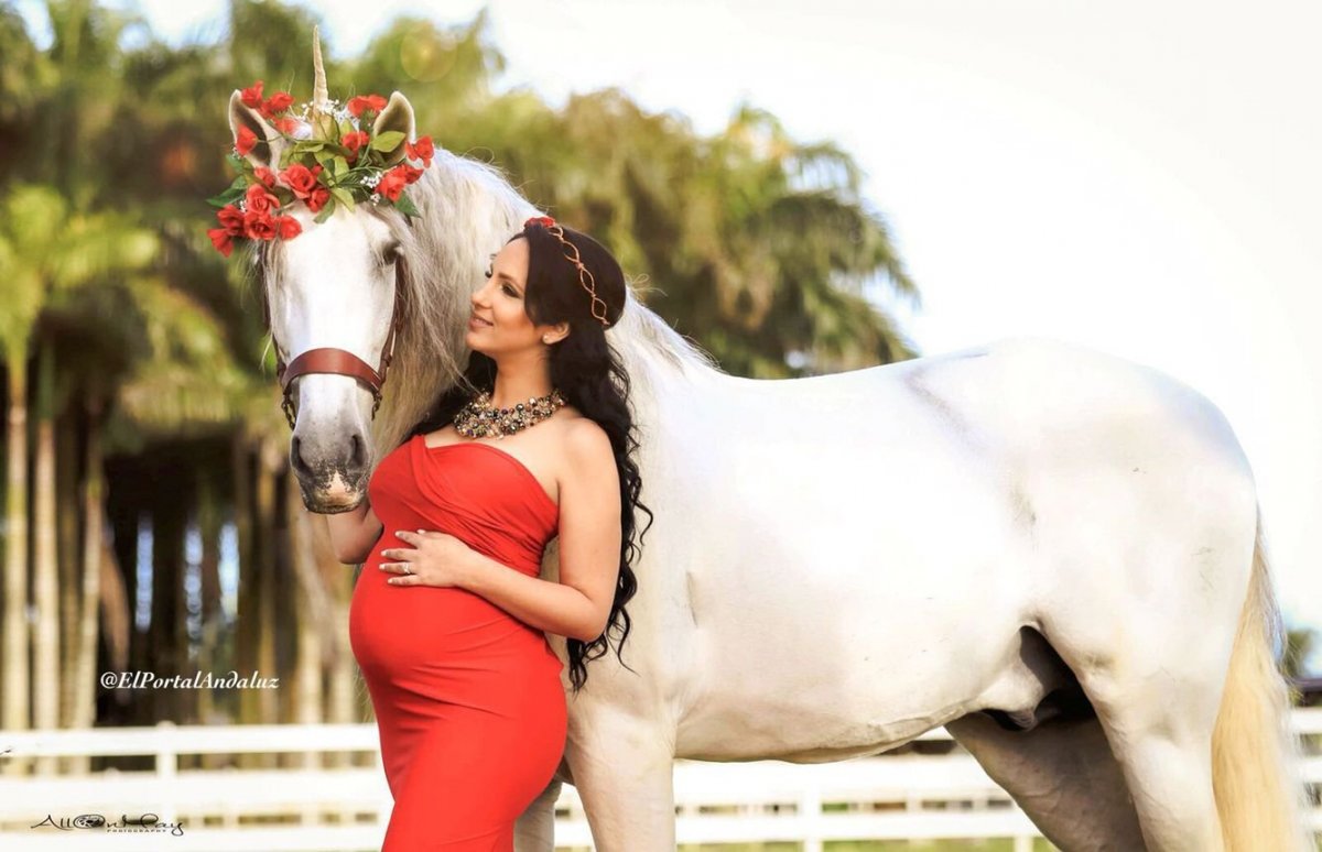 Рыжий жеребенок