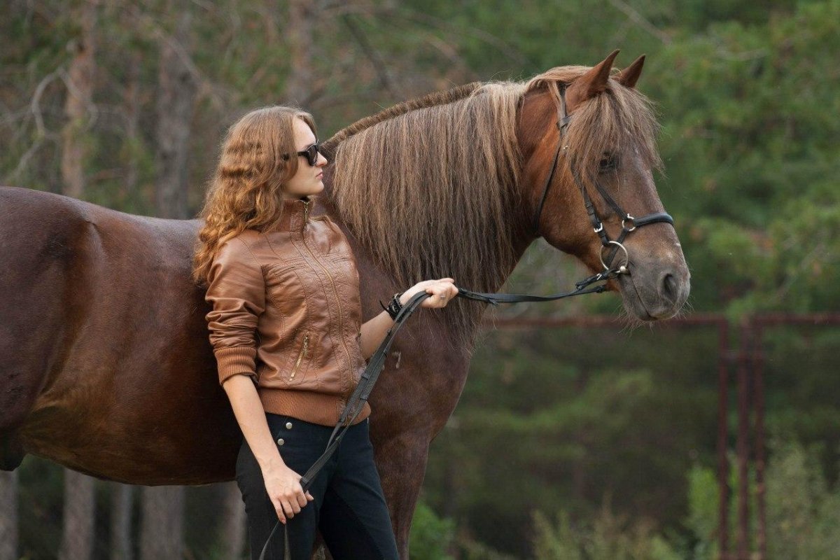Лошадь и беременная женщина
